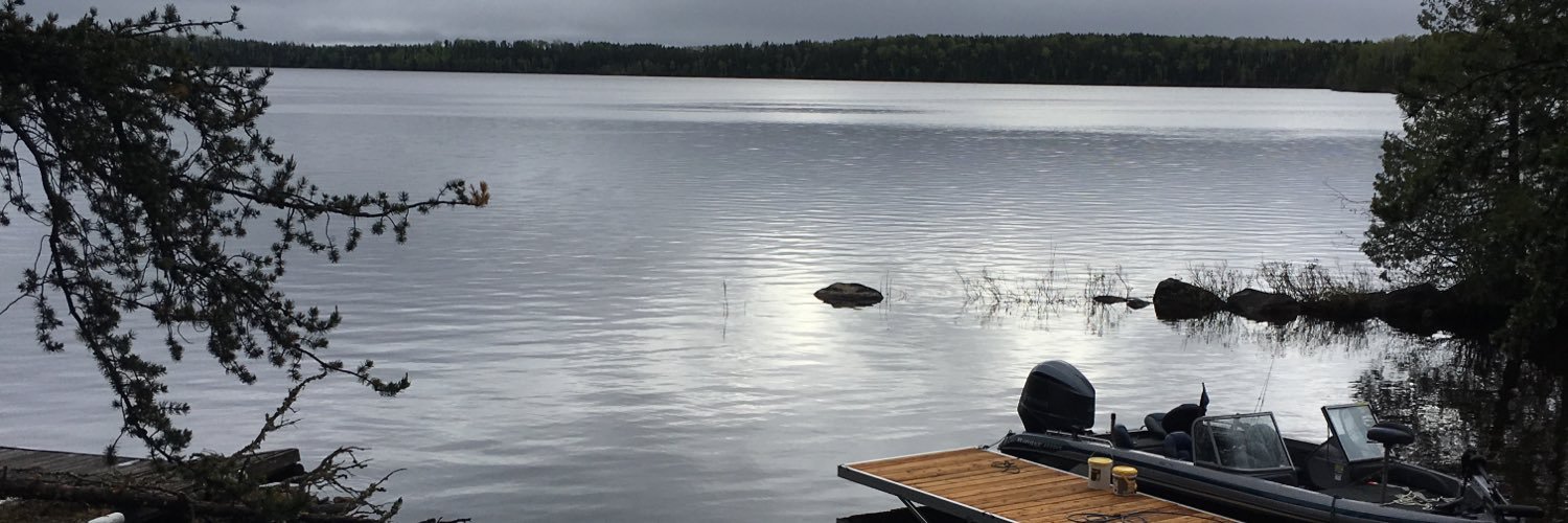 Lifeincamo's profile banner image