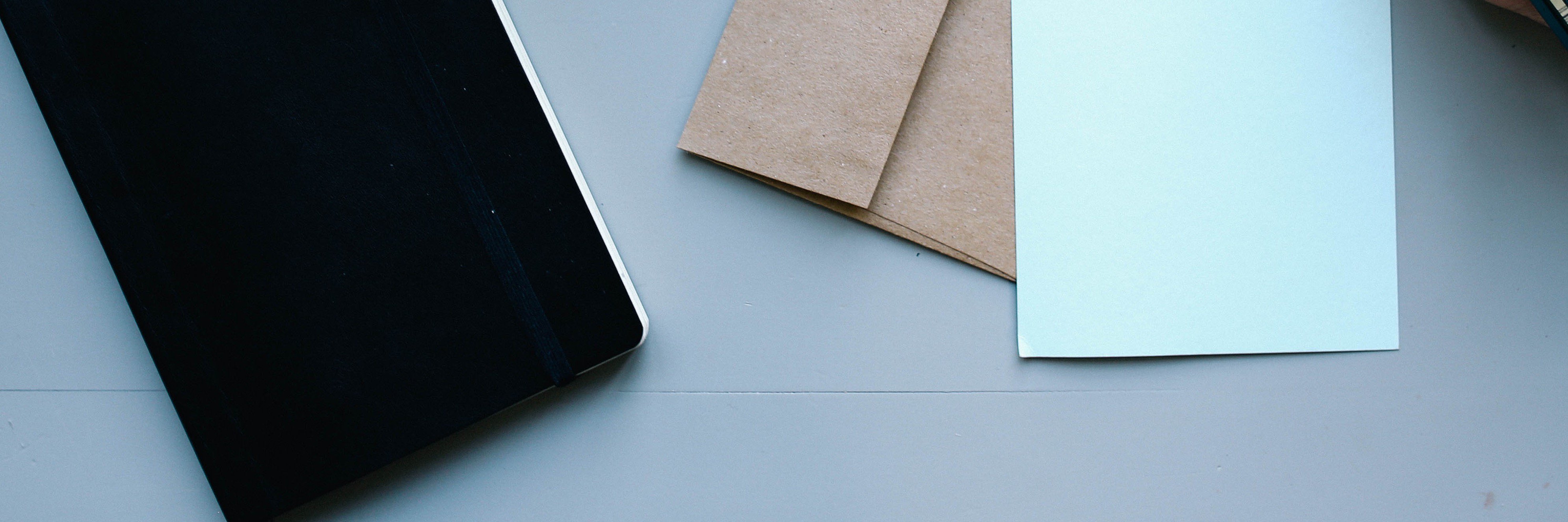 Disa Långström banner