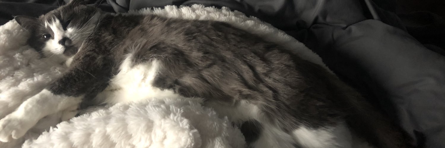 PoppaAppletits's profile banner image