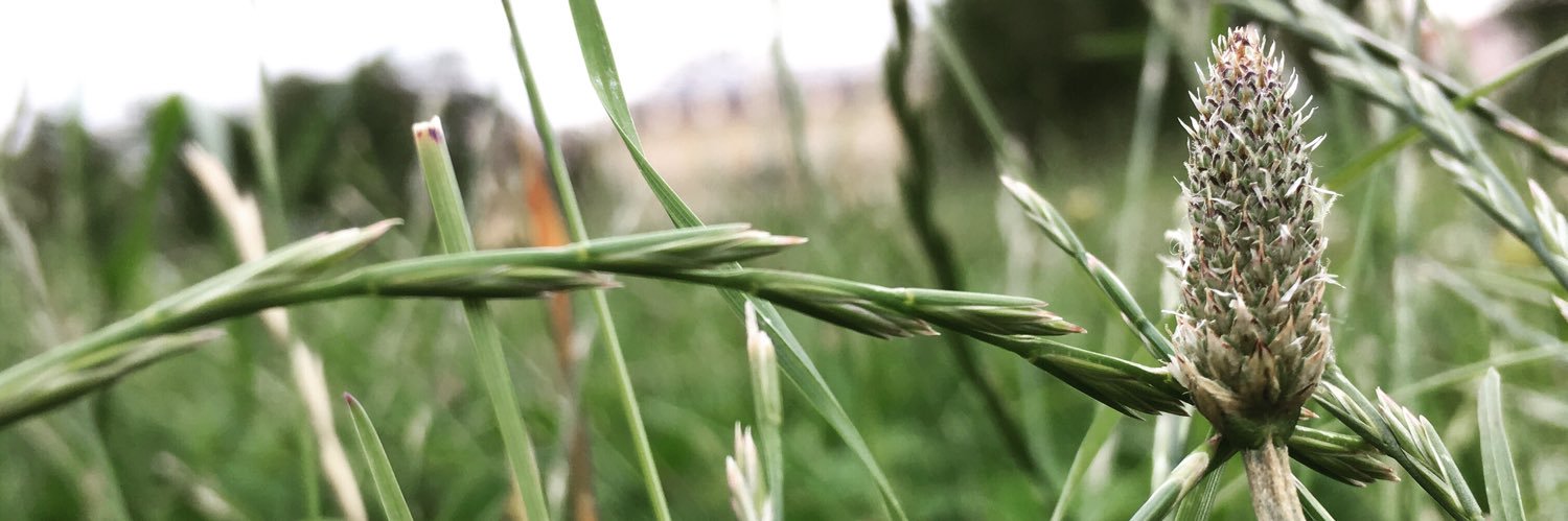 𝐞𝐦𝐦𝐚𝐧𝐮𝐞𝐥 𝐭𝐢𝐱𝐢𝐞𝐫 banner