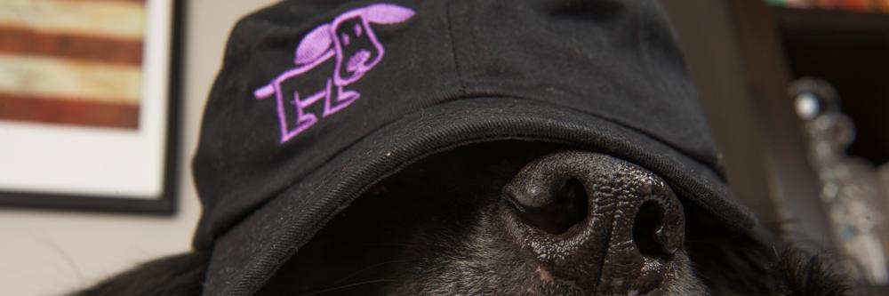 HuggyDuggy's profile banner image