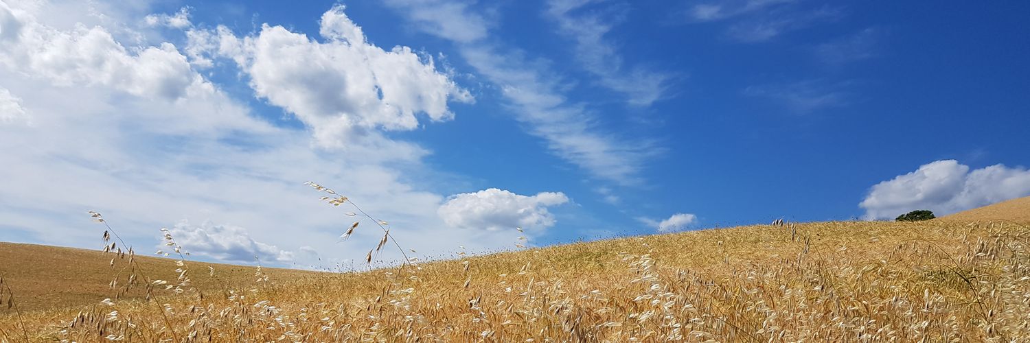 fedepienza's profile banner image