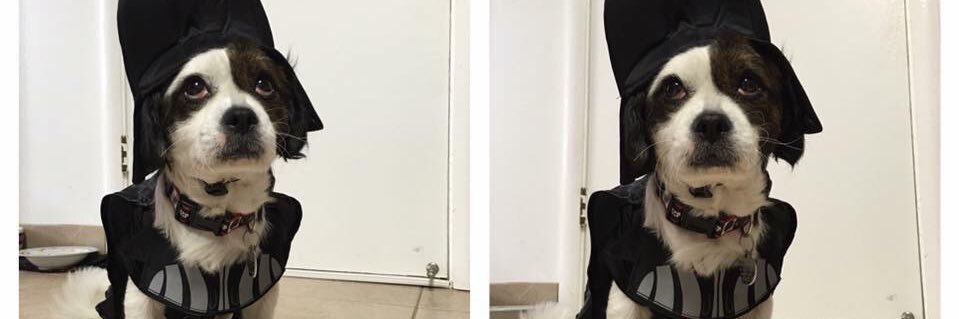 LynnShoop's profile banner image