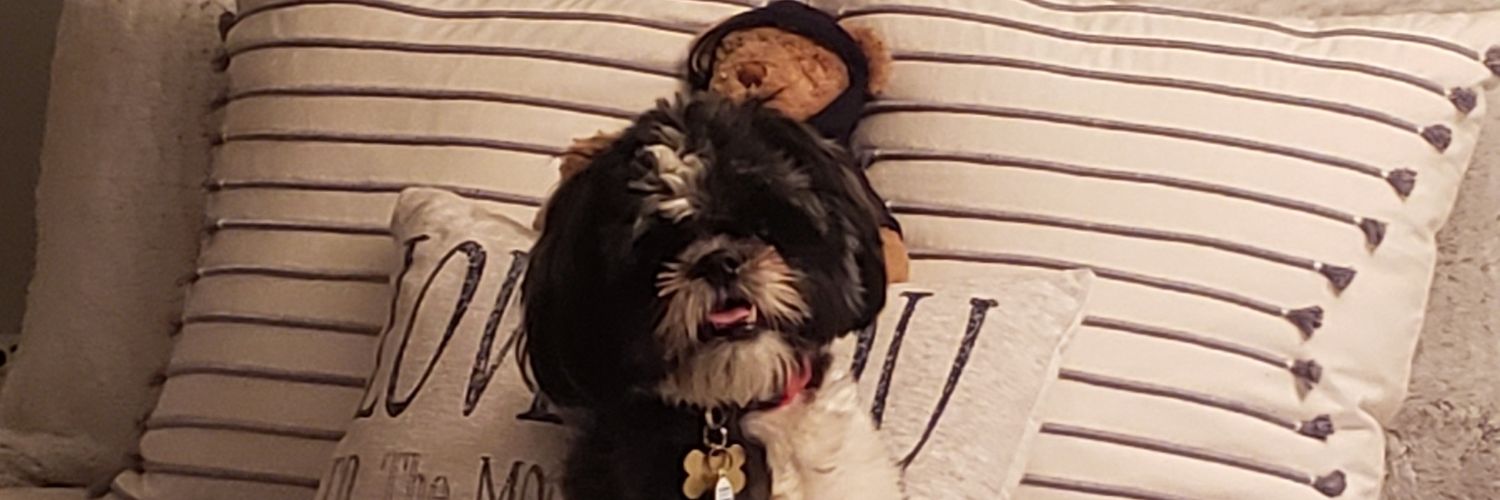 MarleyFan80's profile banner image