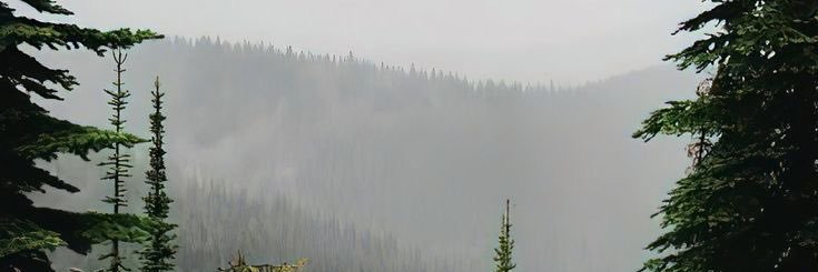 tayshive's profile banner image