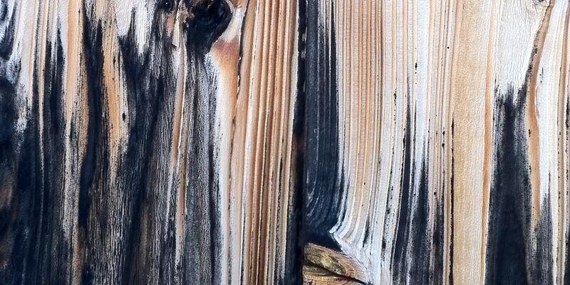atangerinetree's profile banner image