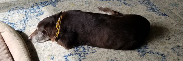 DannyPlaugher Profile Banner