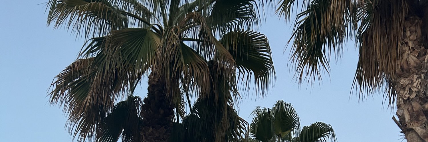 GeorgiaMccombe's profile banner image
