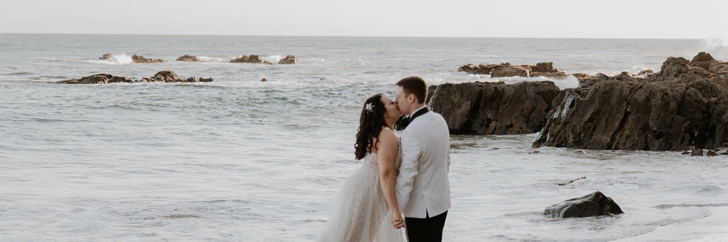 niceashfeldman's profile banner image