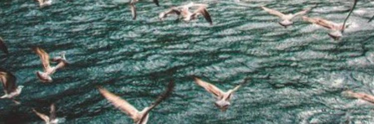 Almarsa97's profile banner image