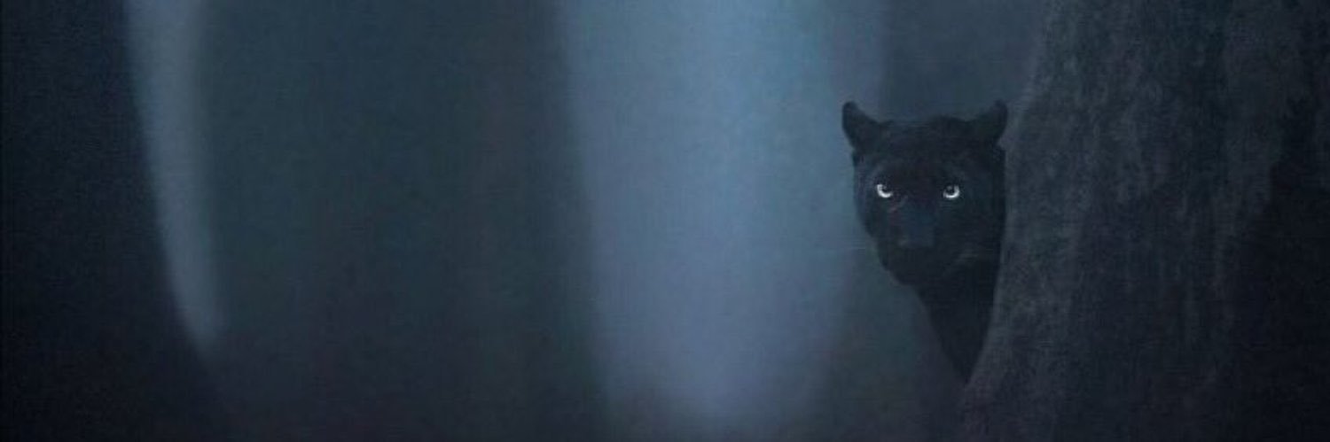 Demz_____'s profile banner image