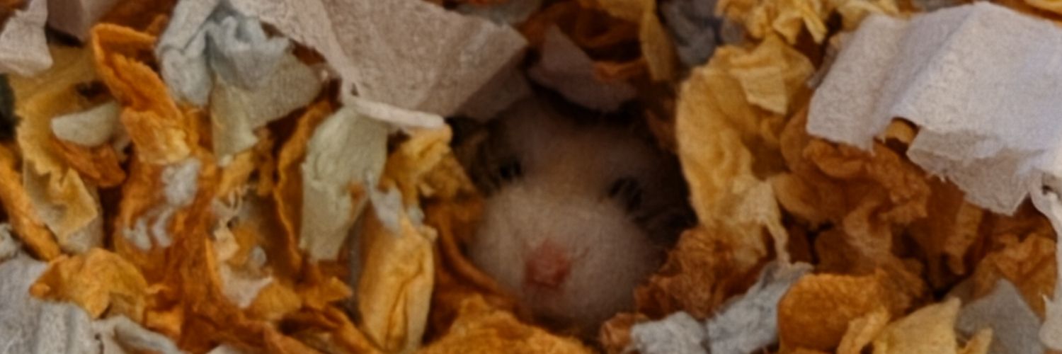 _Nightengxle's profile banner image
