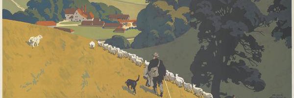daytripper55's profile banner image