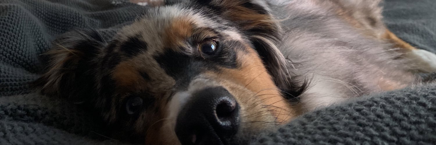 kell_hank27's profile banner image