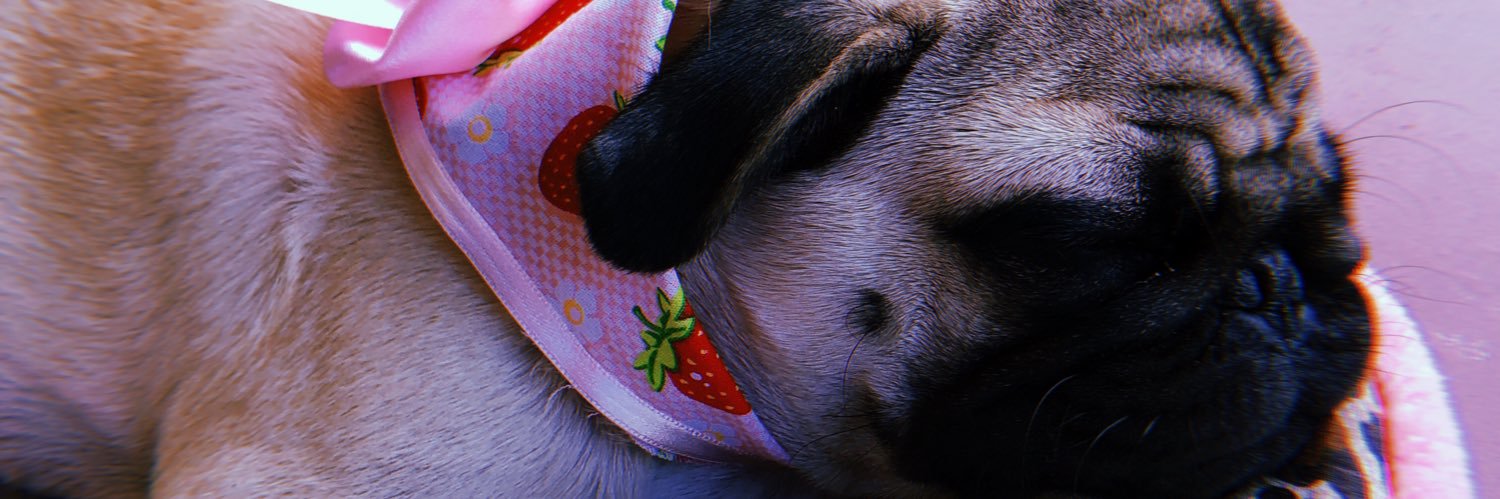 jaineec_'s profile banner image