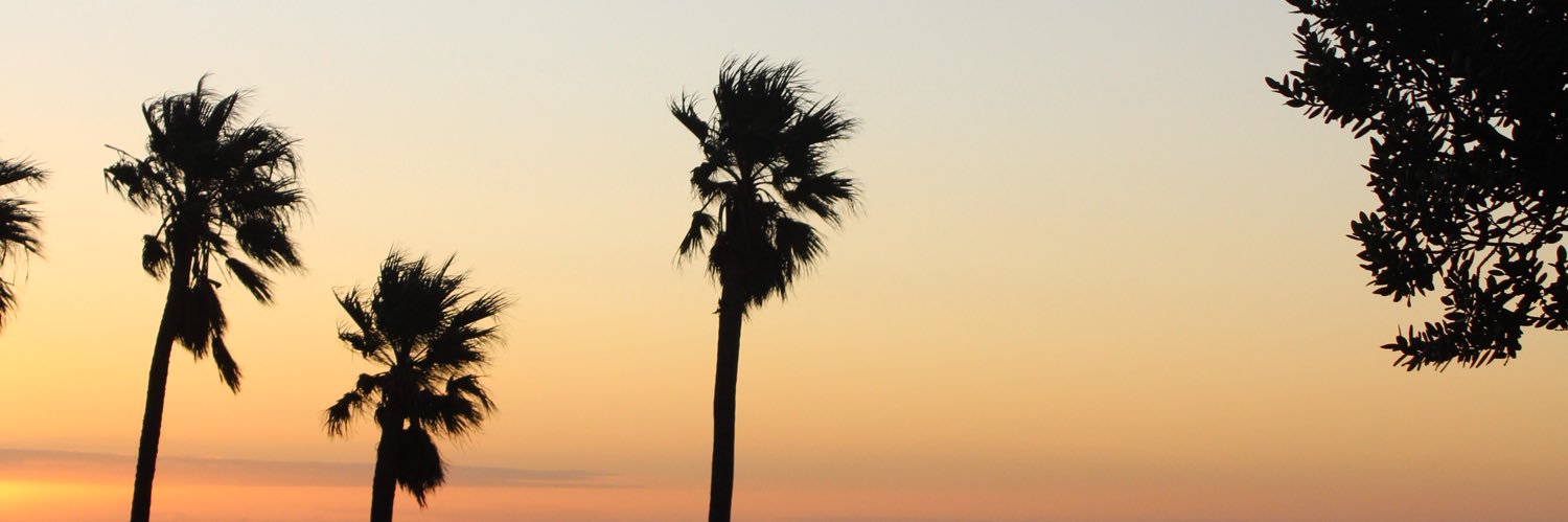 Real_NicJr's profile banner image