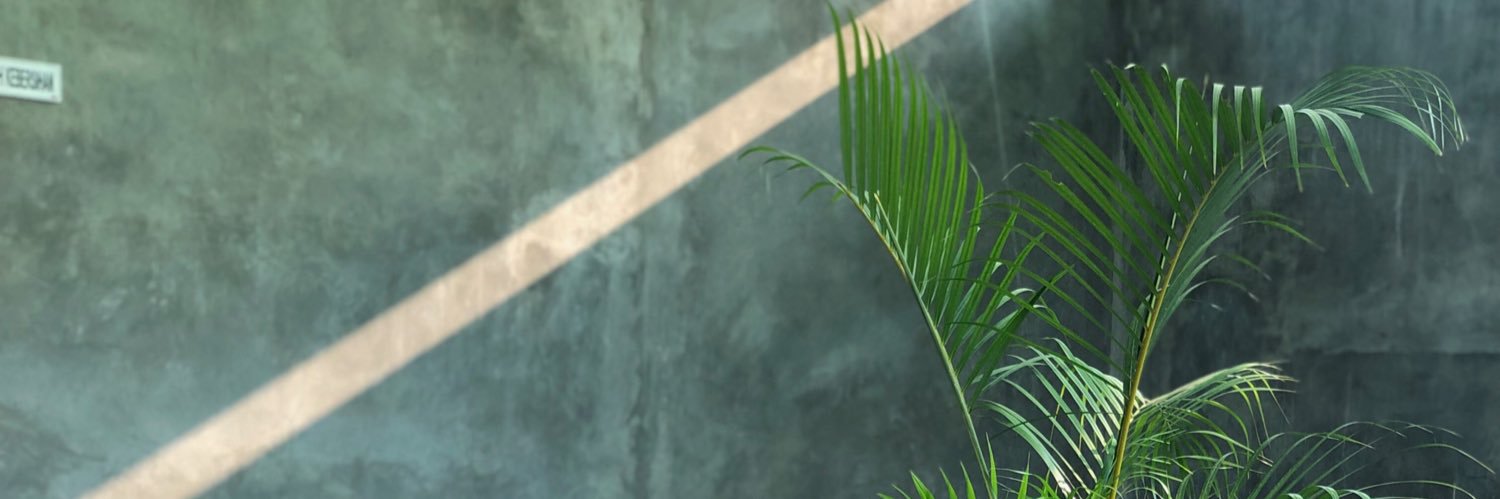 nvnds's profile banner image