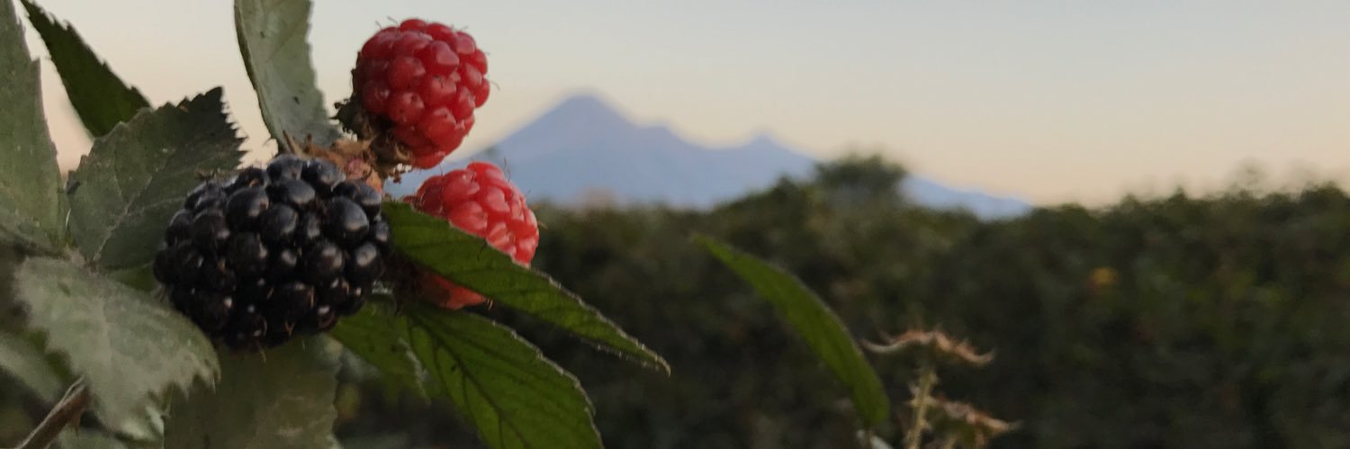 CsarAponte's profile banner image