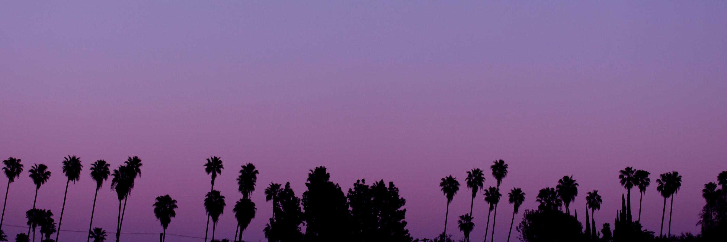hotchorizzo's profile banner image