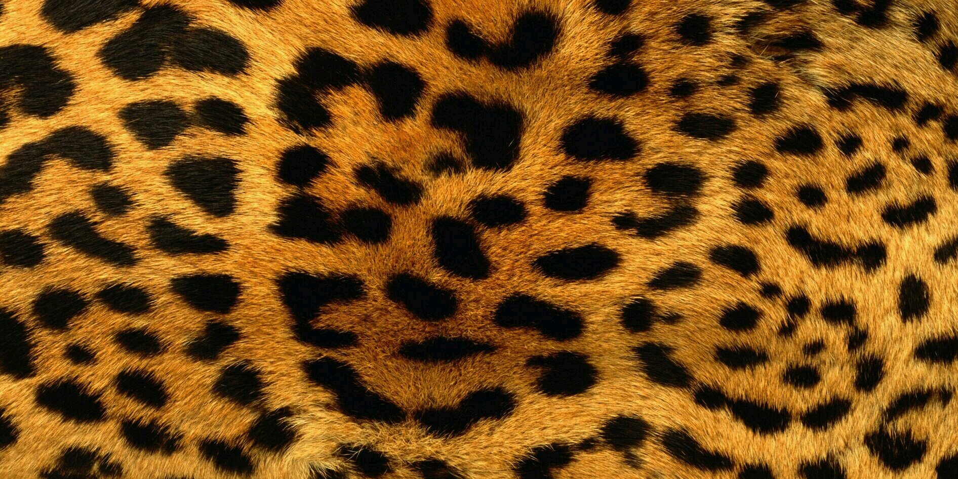 Cataa180295's profile banner image