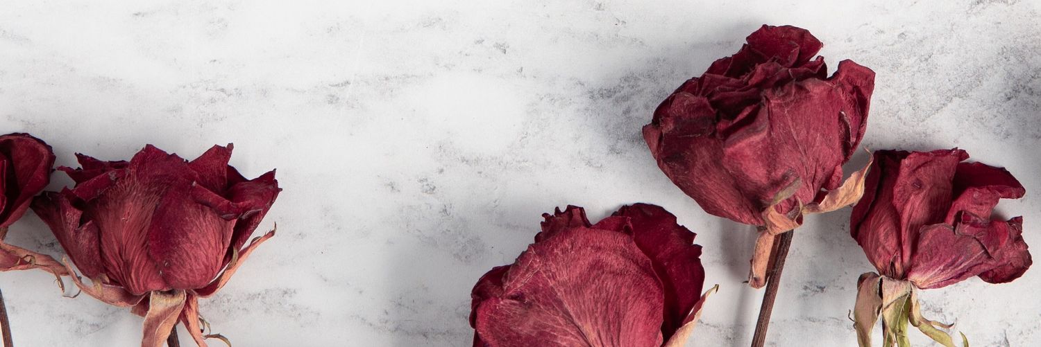 subelbel's profile banner image
