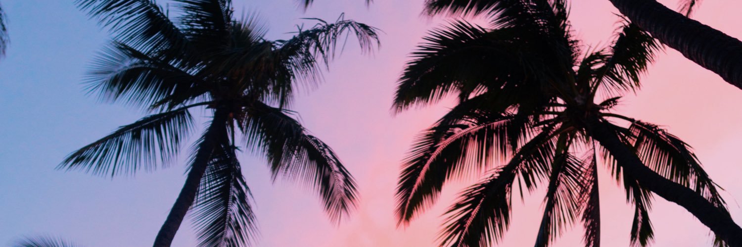 MsLuuna's profile banner image