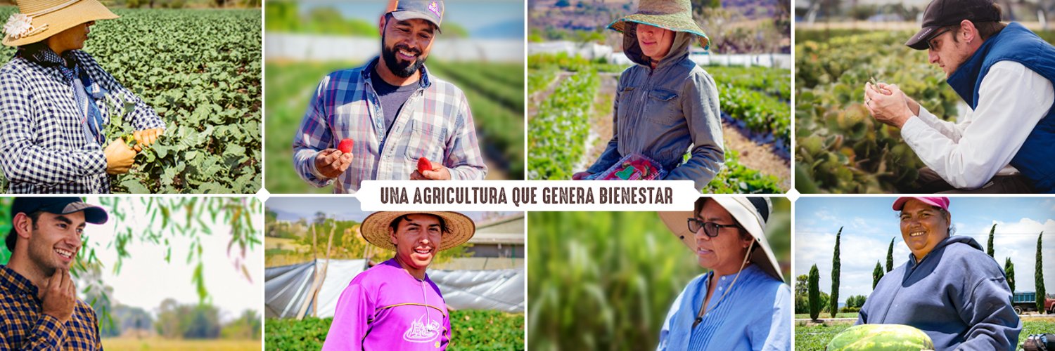 Tierra de Monte banner