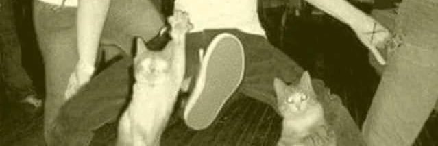 numanlmz's profile banner image