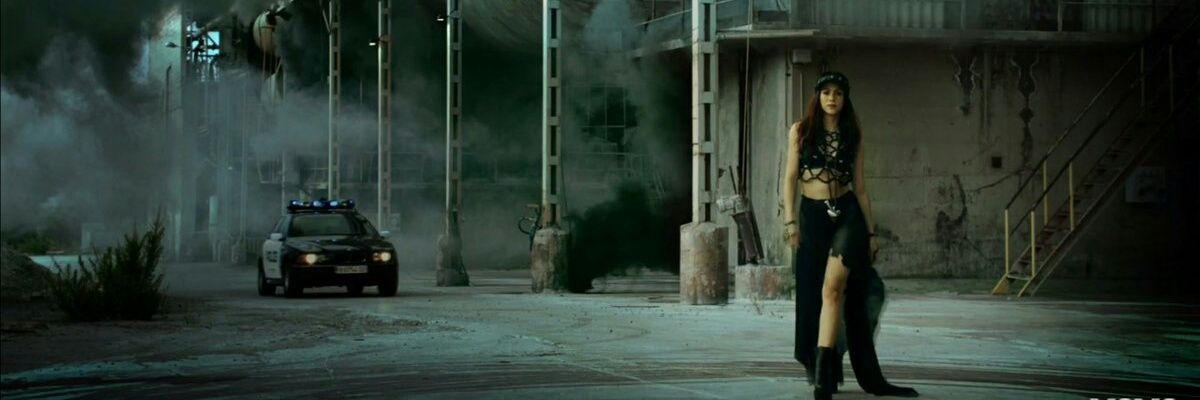 Pipesaurio🐉🐈 banner