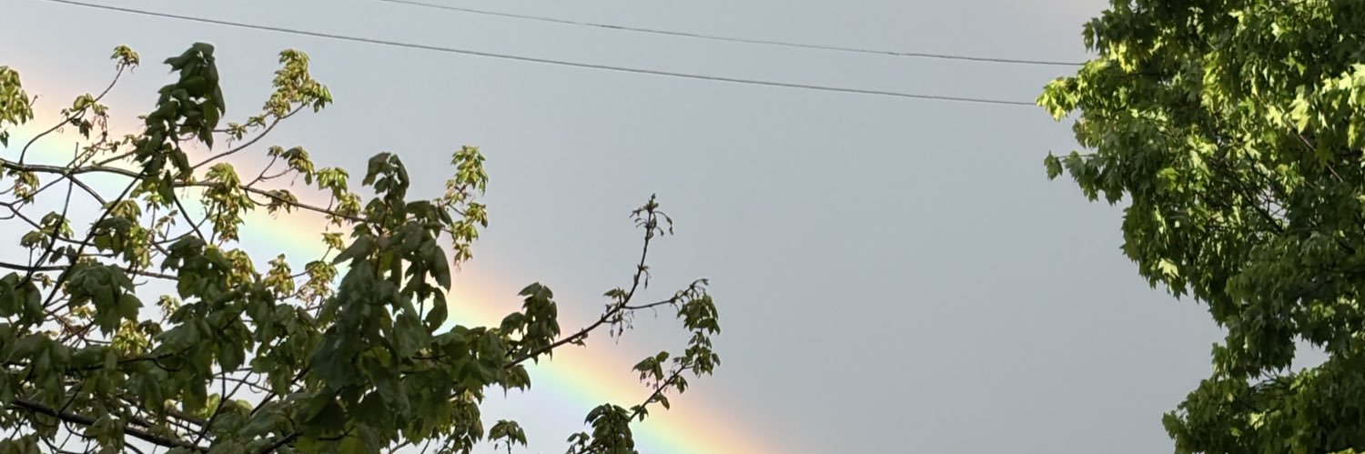 Renee_ne's profile banner image