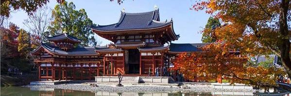 kung fu ustası banner