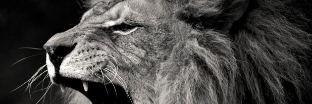 ChirieBrown's profile banner image