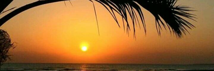 sultan___8989's profile banner image
