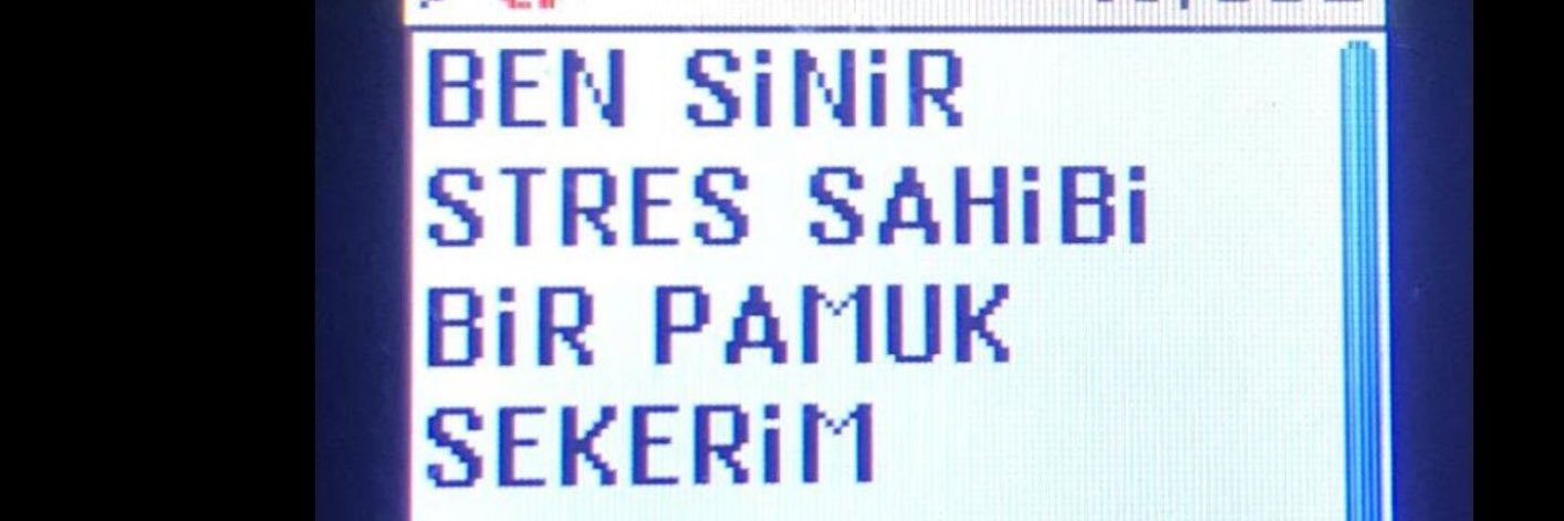 eceegurbuz's profile banner image