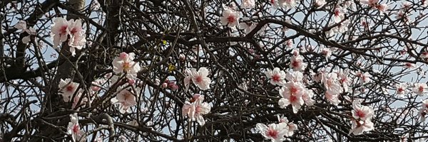 FrancoiseVanni Profile Banner