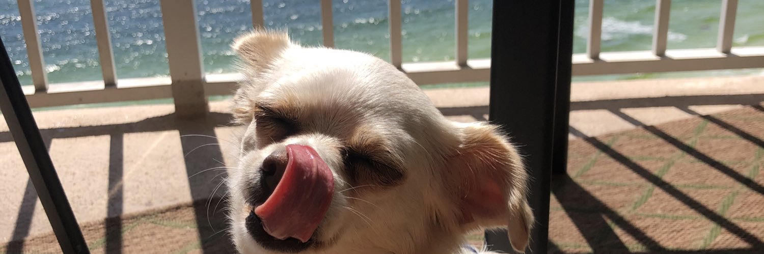 LillyDFrench's profile banner image