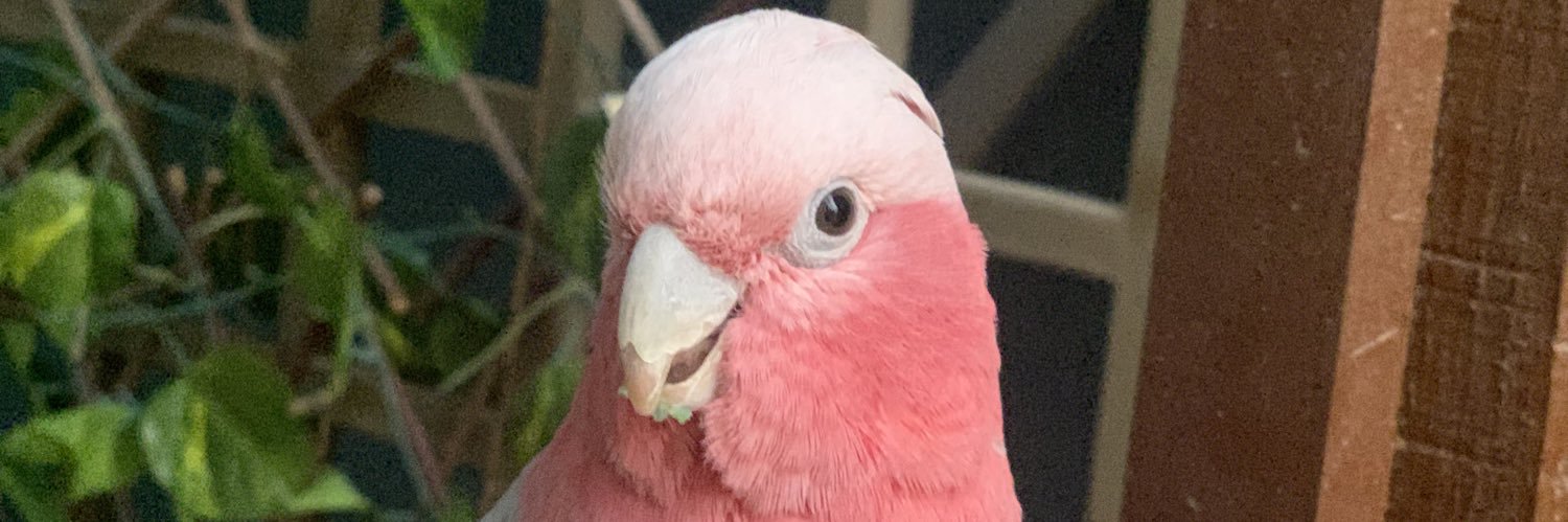 Alanoudgz's profile banner image
