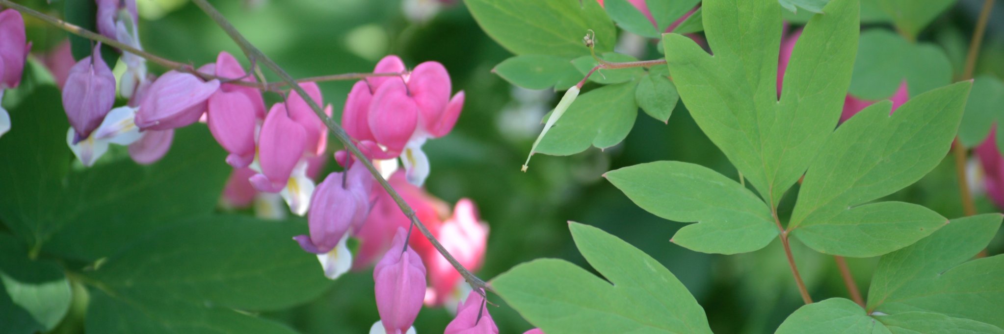 ColleenHeckman's profile banner image