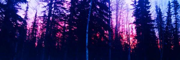 Jasper1977 Profile Banner