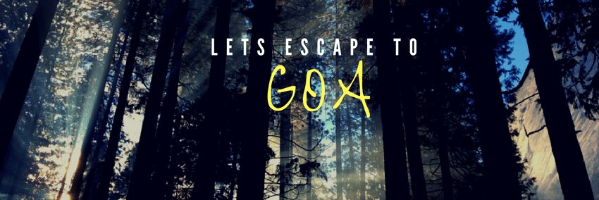 discovergoa365's profile banner image