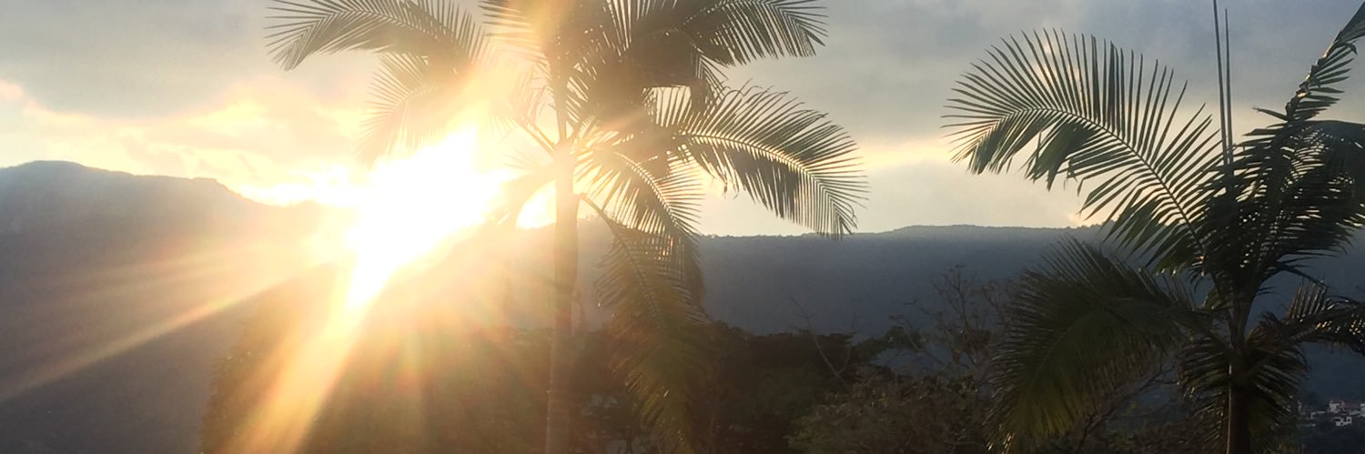 luzadrianacarde's profile banner image