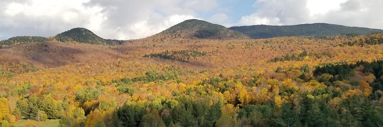 David Goodman banner