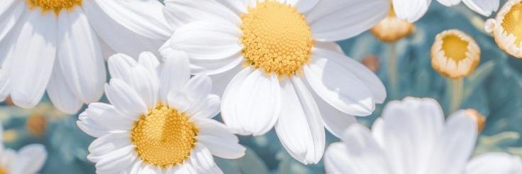 Oscarydyn's profile banner image