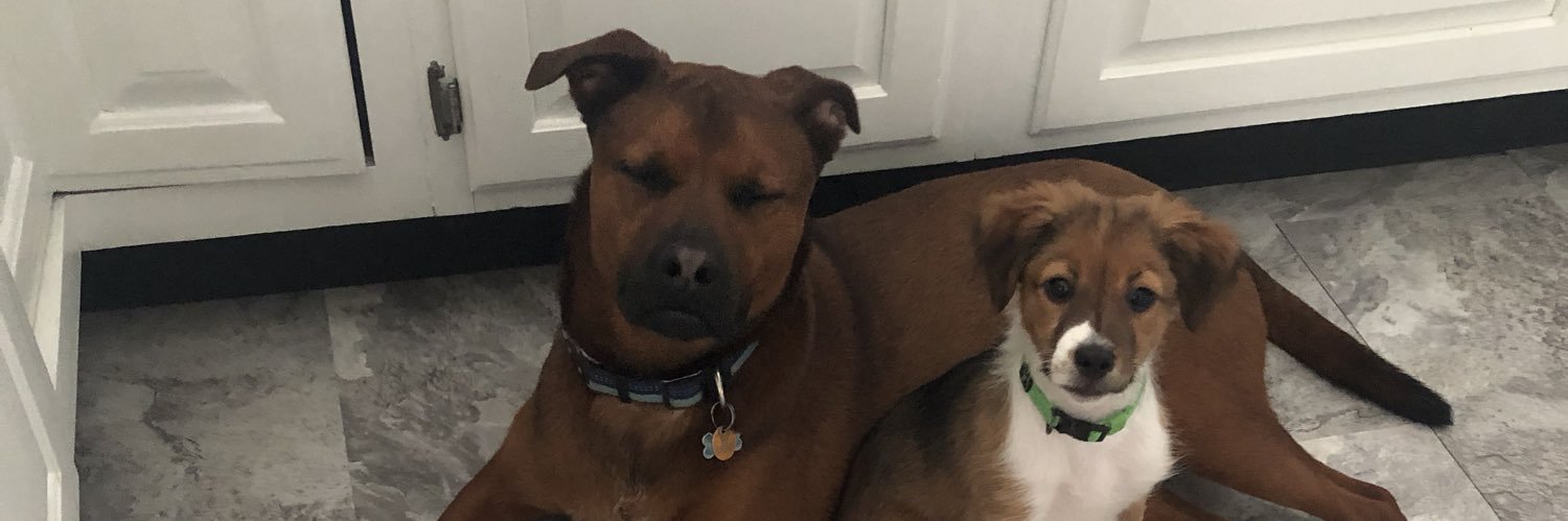 NathanPuthoff's profile banner image