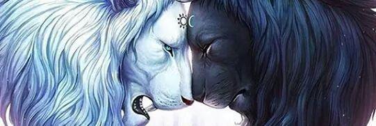 moon_chi92's profile banner image