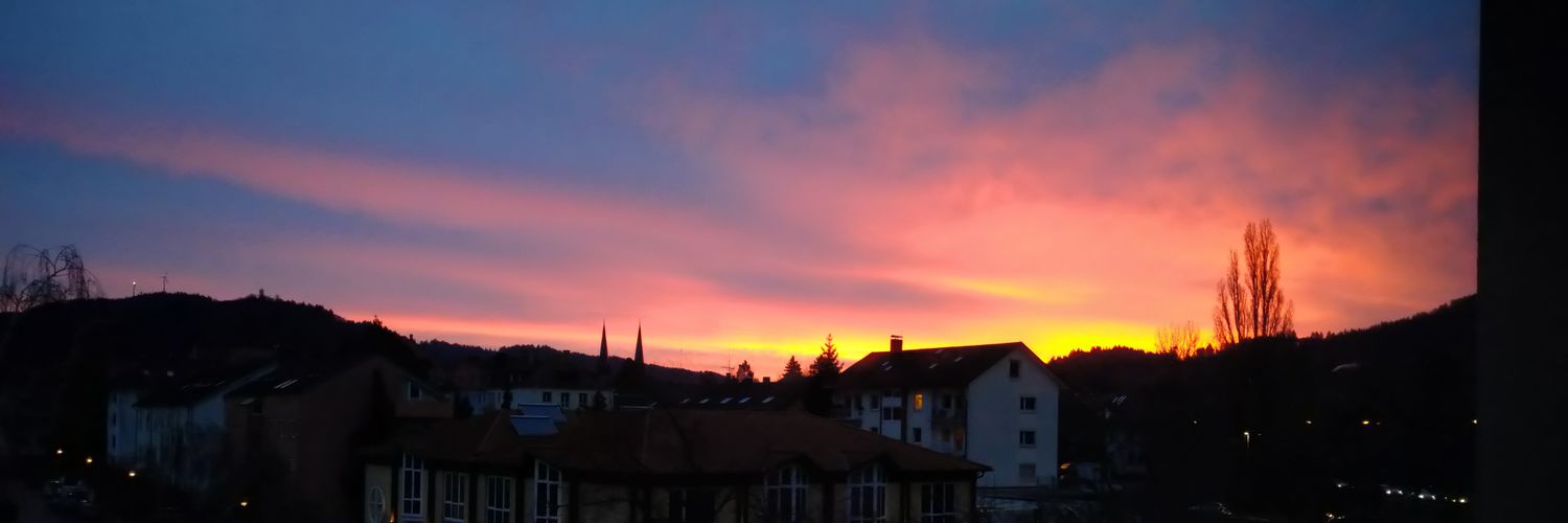 Silvia Román banner