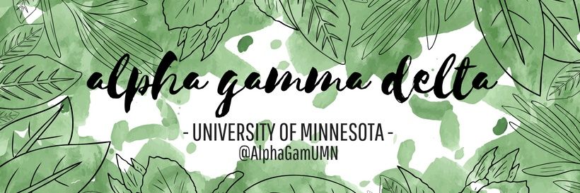 AlphaGamUMN's profile banner image