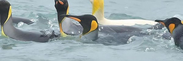 LaastGee Profile Banner