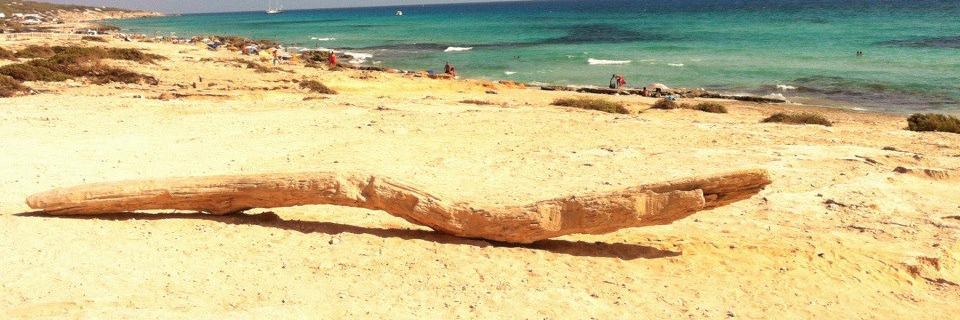 BesHoo ⭐⭐ banner