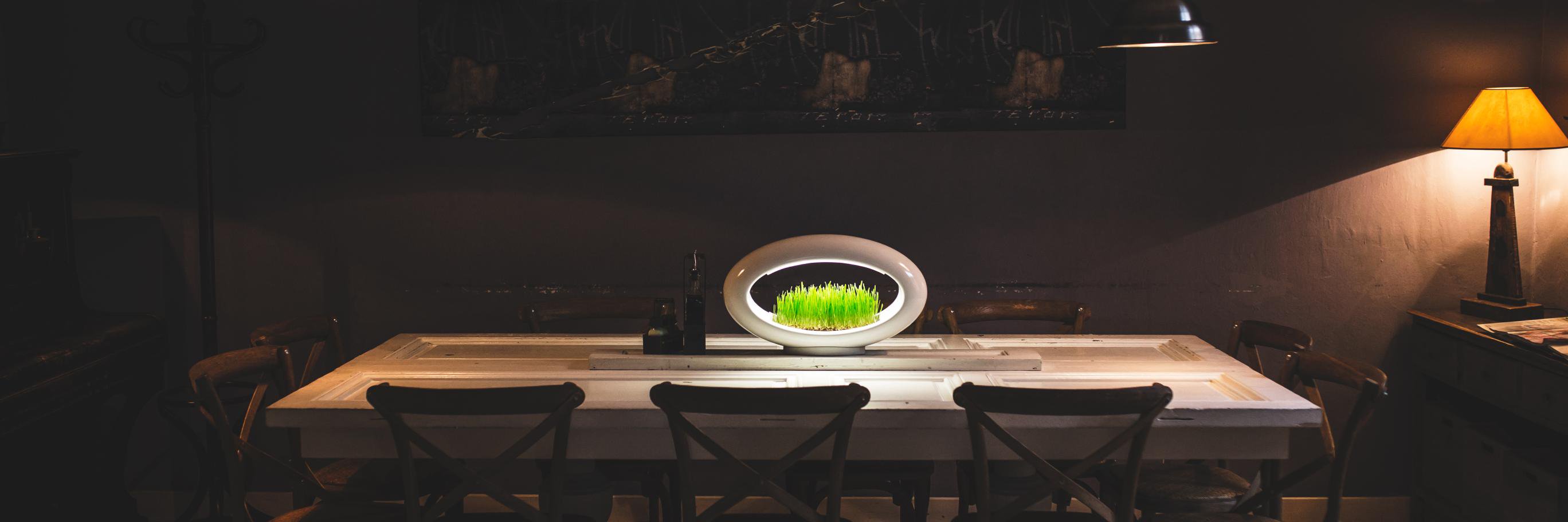 grasslamp's profile banner image